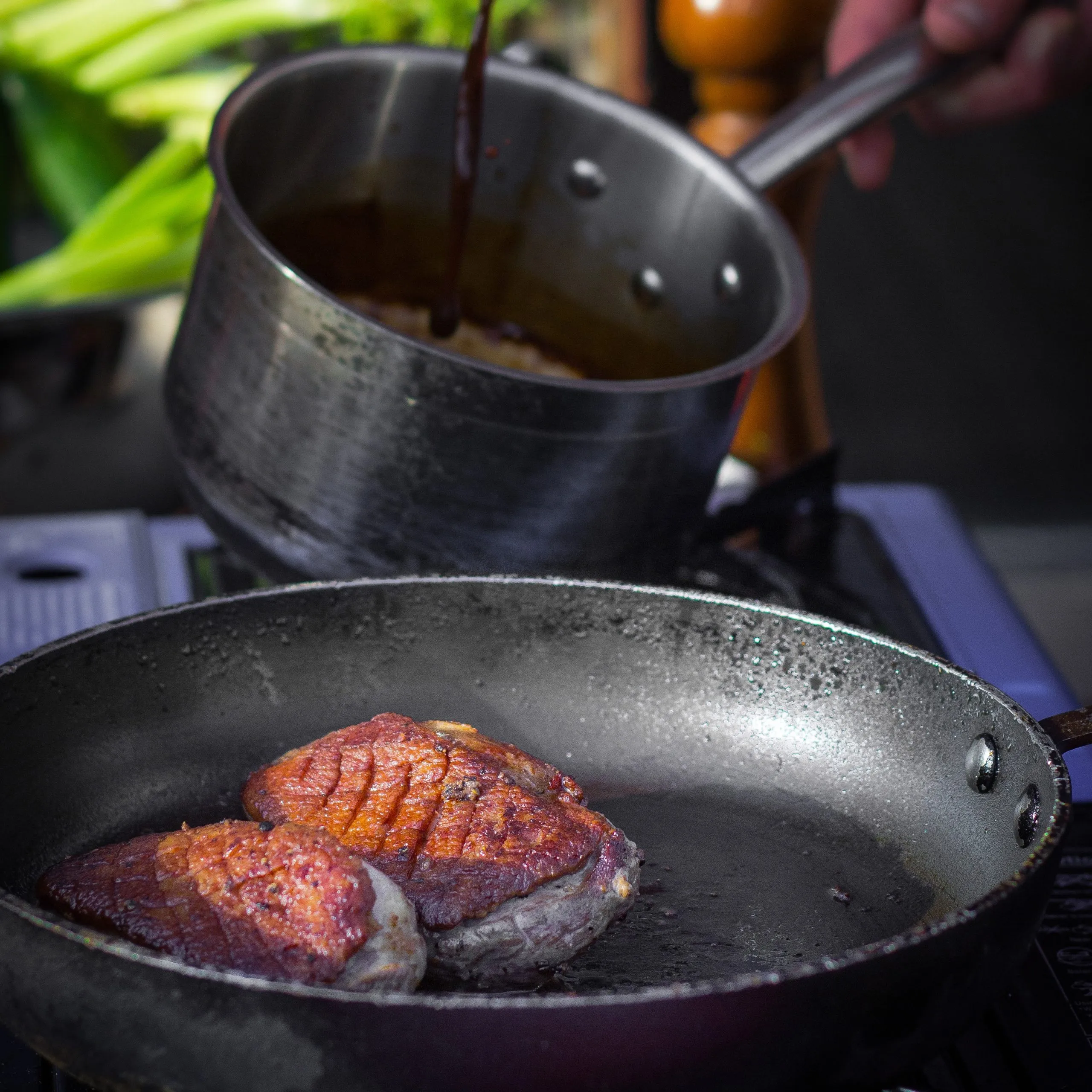 Seared Duck Breast